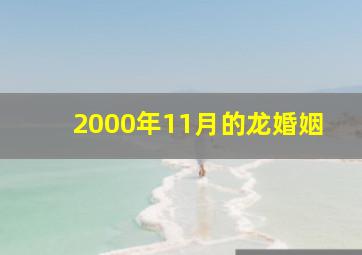 2000年11月的龙婚姻