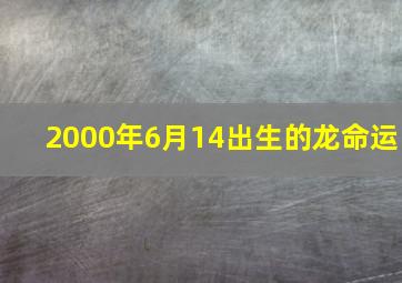 2000年6月14出生的龙命运