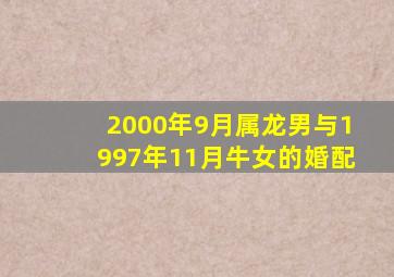 2000年9月属龙男与1997年11月牛女的婚配