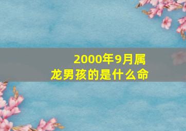 2000年9月属龙男孩的是什么命