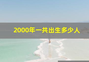 2000年一共出生多少人