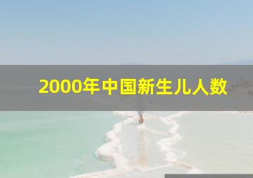 2000年中国新生儿人数