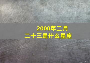 2000年二月二十三是什么星座