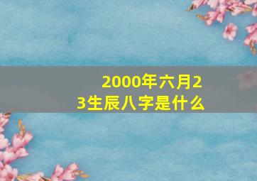 2000年六月23生辰八字是什么