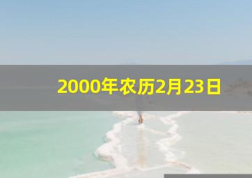 2000年农历2月23日