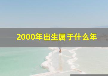 2000年出生属于什么年