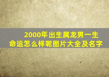 2000年出生属龙男一生命运怎么样呢图片大全及名字