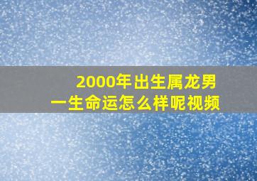 2000年出生属龙男一生命运怎么样呢视频