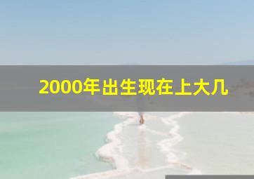 2000年出生现在上大几