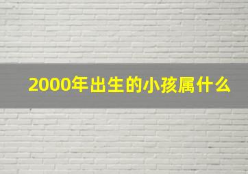 2000年出生的小孩属什么