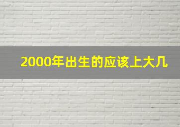 2000年出生的应该上大几