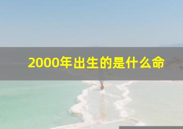 2000年出生的是什么命