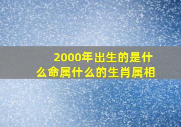 2000年出生的是什么命属什么的生肖属相