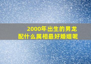 2000年出生的男龙配什么属相最好婚姻呢