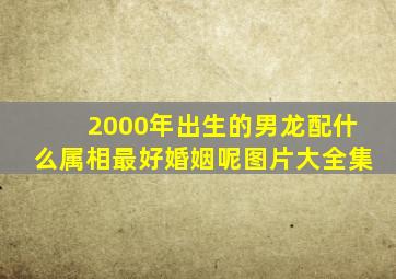 2000年出生的男龙配什么属相最好婚姻呢图片大全集