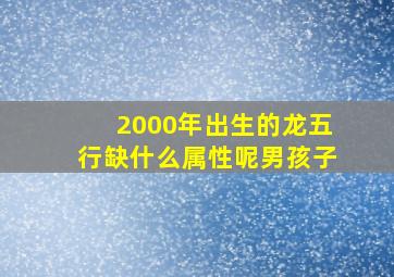 2000年出生的龙五行缺什么属性呢男孩子