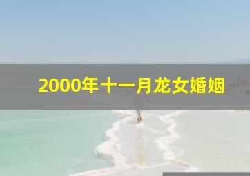 2000年十一月龙女婚姻