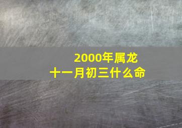 2000年属龙十一月初三什么命