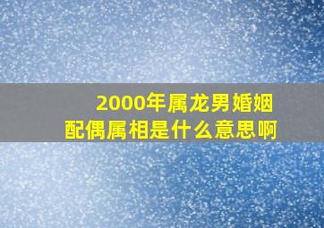 2000年属龙男婚姻配偶属相是什么意思啊