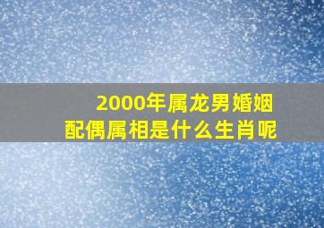 2000年属龙男婚姻配偶属相是什么生肖呢