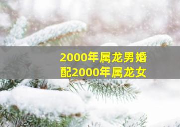 2000年属龙男婚配2000年属龙女