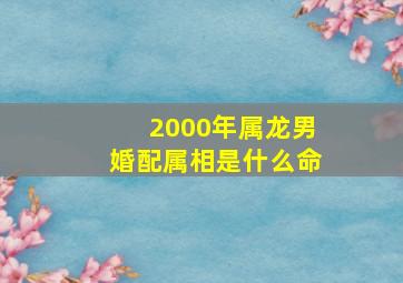 2000年属龙男婚配属相是什么命