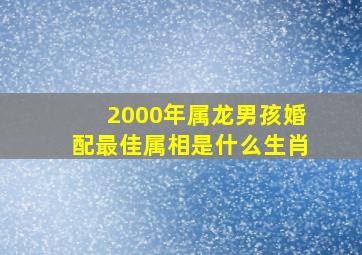 2000年属龙男孩婚配最佳属相是什么生肖