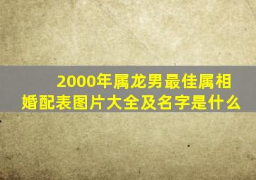 2000年属龙男最佳属相婚配表图片大全及名字是什么