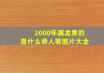 2000年属龙男的是什么命人呢图片大全