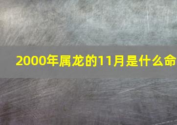 2000年属龙的11月是什么命