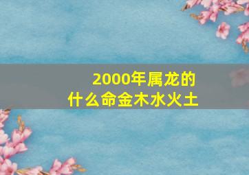 2000年属龙的什么命金木水火土