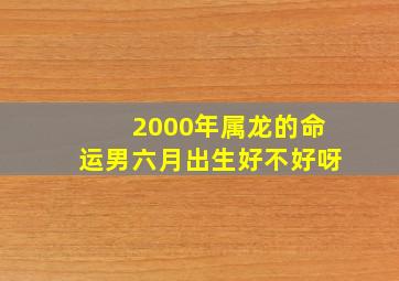 2000年属龙的命运男六月出生好不好呀