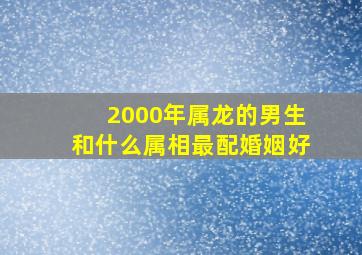 2000年属龙的男生和什么属相最配婚姻好