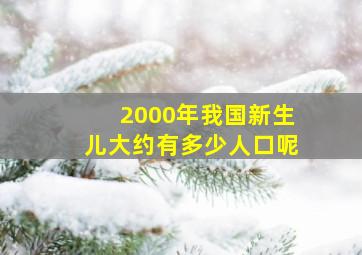 2000年我国新生儿大约有多少人口呢