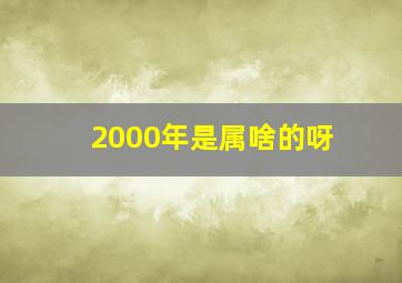 2000年是属啥的呀