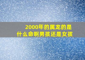 2000年的属龙的是什么命啊男孩还是女孩