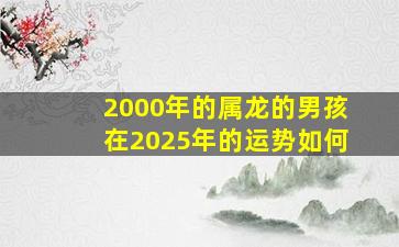 2000年的属龙的男孩在2025年的运势如何