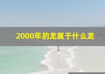 2000年的龙属于什么龙