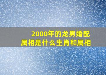 2000年的龙男婚配属相是什么生肖和属相