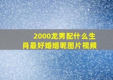 2000龙男配什么生肖最好婚姻呢图片视频