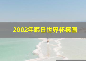 2002年韩日世界杯德国