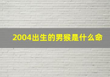 2004出生的男猴是什么命