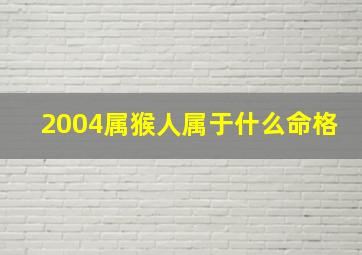 2004属猴人属于什么命格