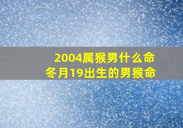 2004属猴男什么命冬月19出生的男猴命