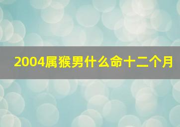 2004属猴男什么命十二个月