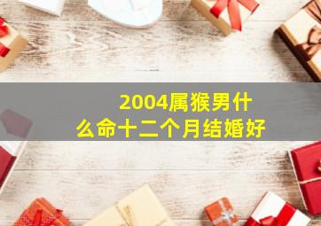 2004属猴男什么命十二个月结婚好