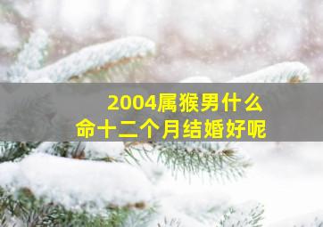 2004属猴男什么命十二个月结婚好呢