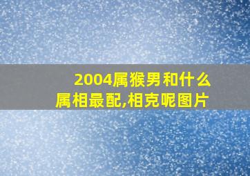 2004属猴男和什么属相最配,相克呢图片