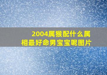 2004属猴配什么属相最好命男宝宝呢图片