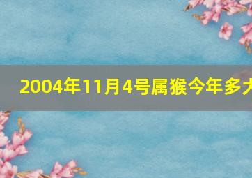 2004年11月4号属猴今年多大